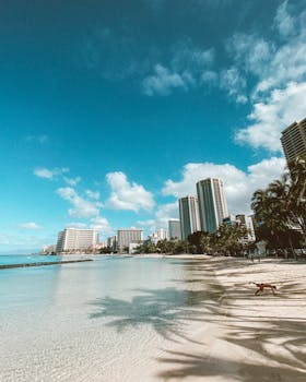 Stunning view of Honolulu's beachfront skyline with clear blue skies and calm waters.