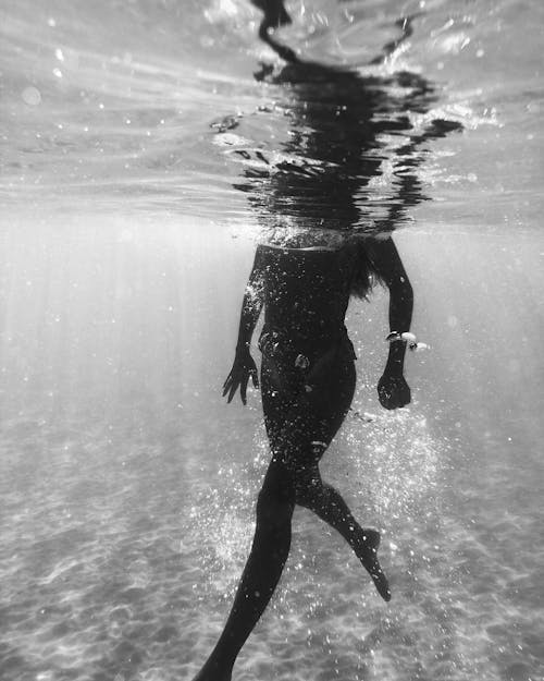 คลังภาพถ่ายฟรี ของ การถ่ายภาพใต้น้ำ, การเดิน, ขาวดำ