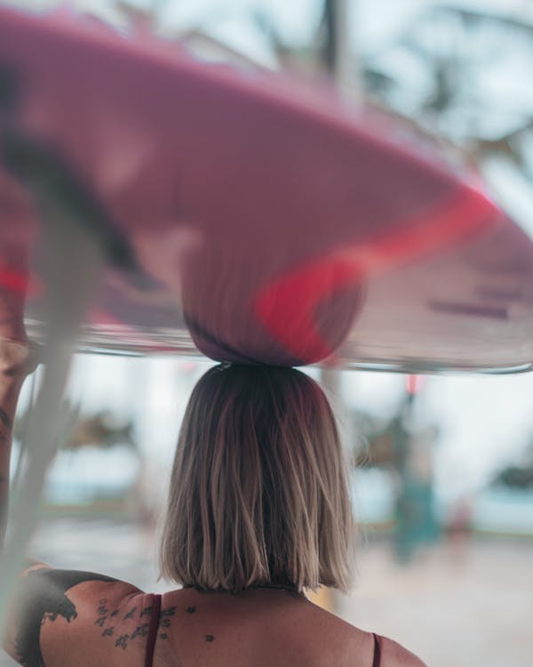 Foto profissional grátis de bokeh, cor-de-rosa, folha de palmeira