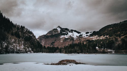 Foto profissional grátis de ao ar livre, árvore, atmosfera