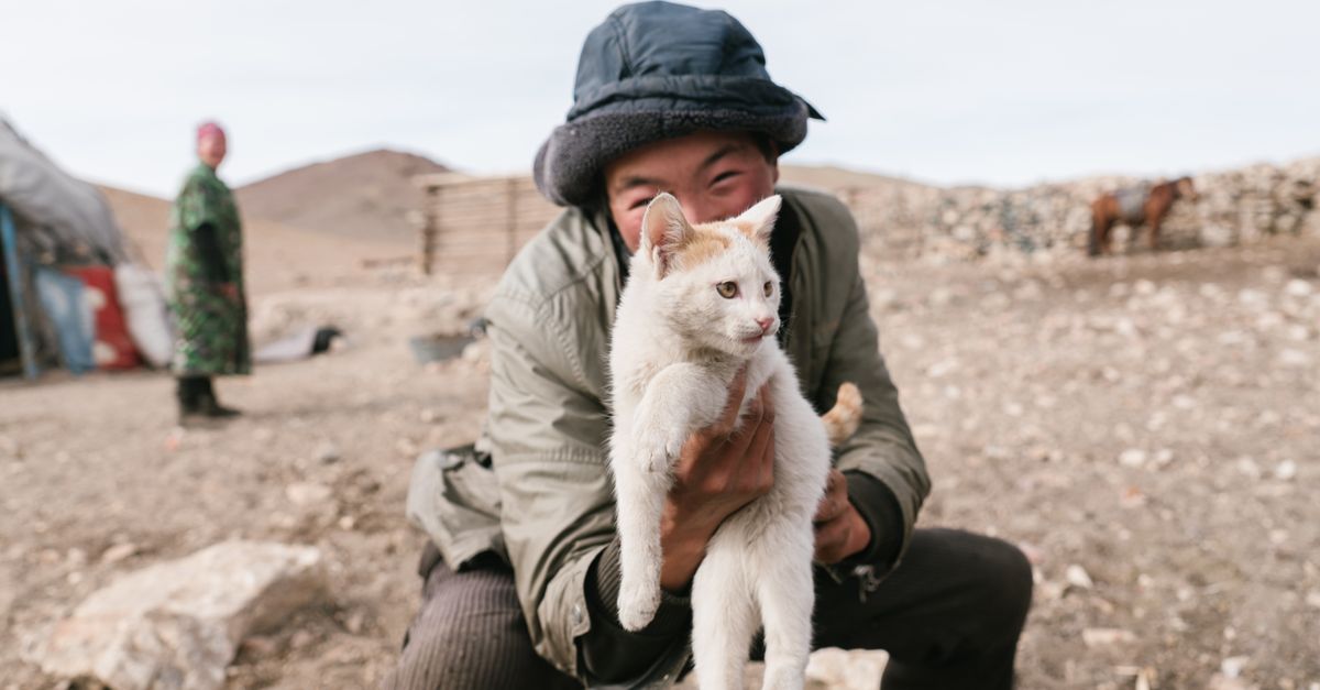 eSIM Mongolia: internet para tu viaje a la estepa