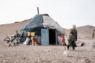 Full length of aged Mongolian female in casual wear looking away and pointing at cat walking near yurt in rocky desert with motorbike parked nearby