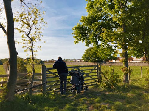 Back view of unrecognizable father with baby stroller standing near wooden fence of countryside field under blue sky in sunny summer day