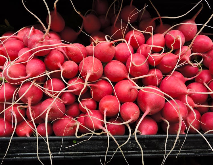 Lots Of Red Radishes