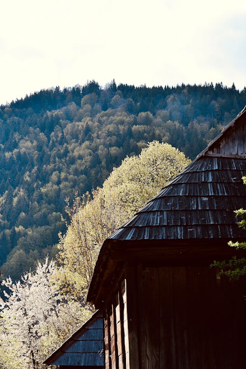 Безкоштовне стокове фото на тему «гірський район, гора, дерев'яний будинок»