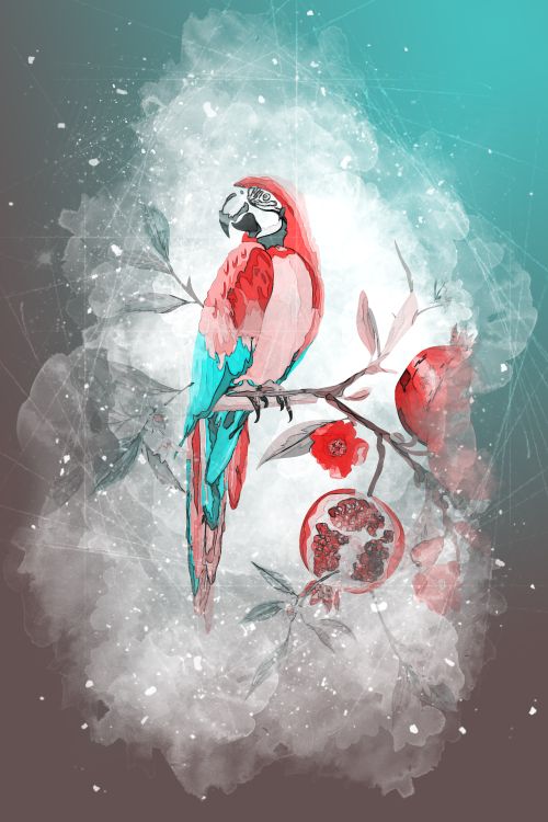 Free stock photo of bird, parrot, parrots Stock Photo