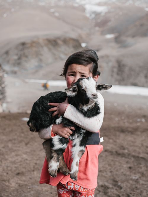 Free Little child wearing casual holding baby goat and looking at camera while standing near mountains in steppe Stock Photo