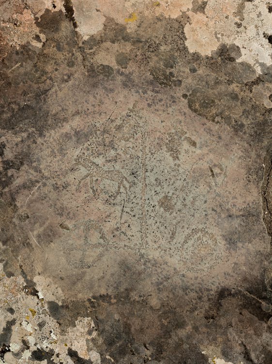 From above of light and dark brown abstract background with ancient rock paintings