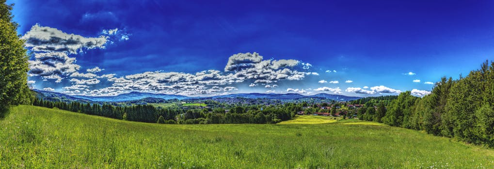 蓝天充满活力，乡村郁郁葱葱的绿色令人惊叹