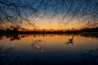 平静的湖面上映出一只鸟的剪影，背景是充满活力的日落天空