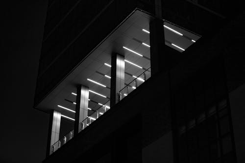 シティストリート, ネオン, 光の無料の写真素材