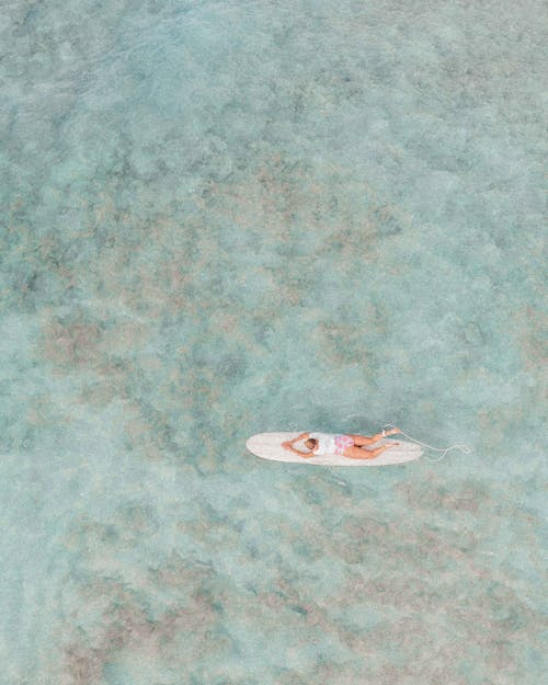 คลังภาพถ่ายฟรี ของ กระดานโต้คลื่น, ชายหาด, ทะเล