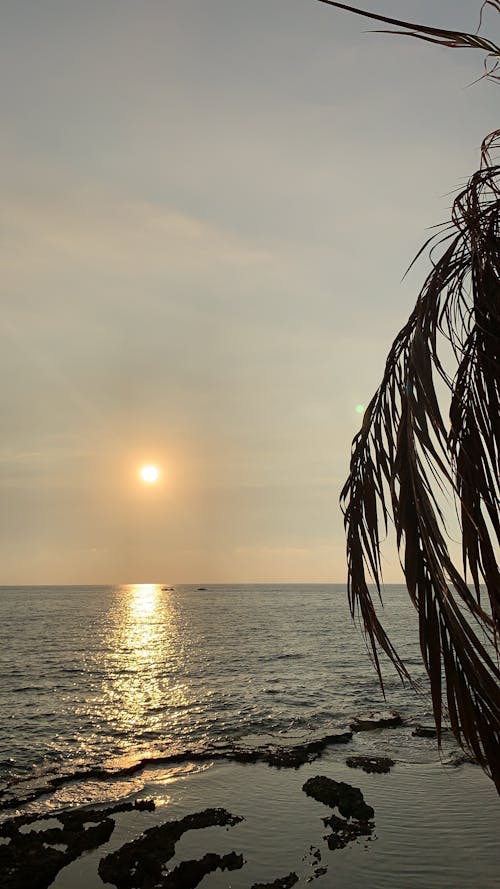 Free stock photo of beach, horizon, mediterranean sea