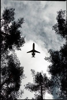 在瑞典乌普萨拉，一架飞机低空掠过树梢，天空多云