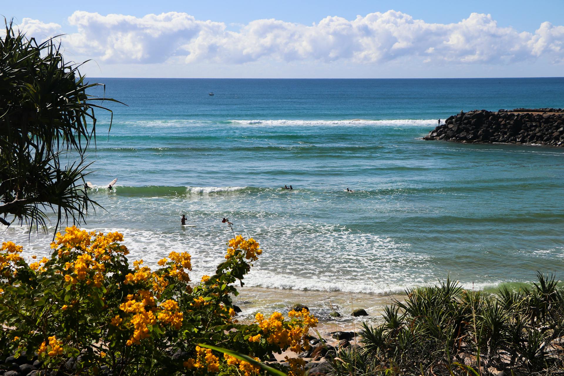 Vibrant beach scene with waves and flowers at Gold Coast, Queensland.