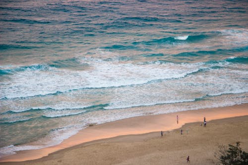 Free stock photo of australia, beach, blue Stock Photo