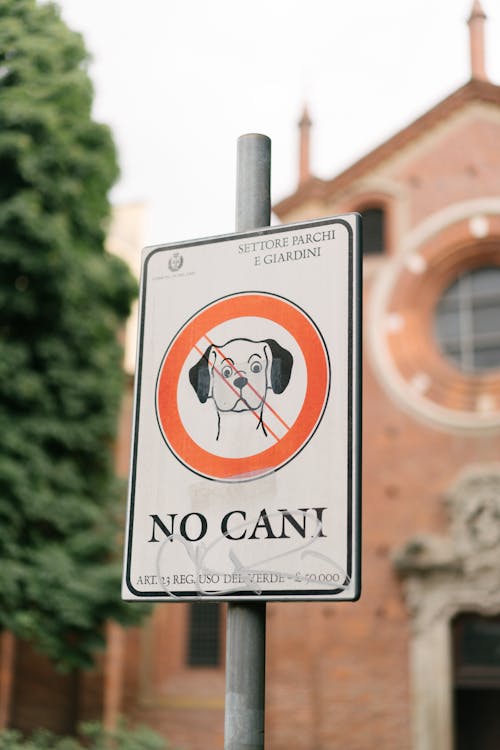 Original sign prohibiting entrance to park with dogs with inscription in Italian against blurred ancient basilica