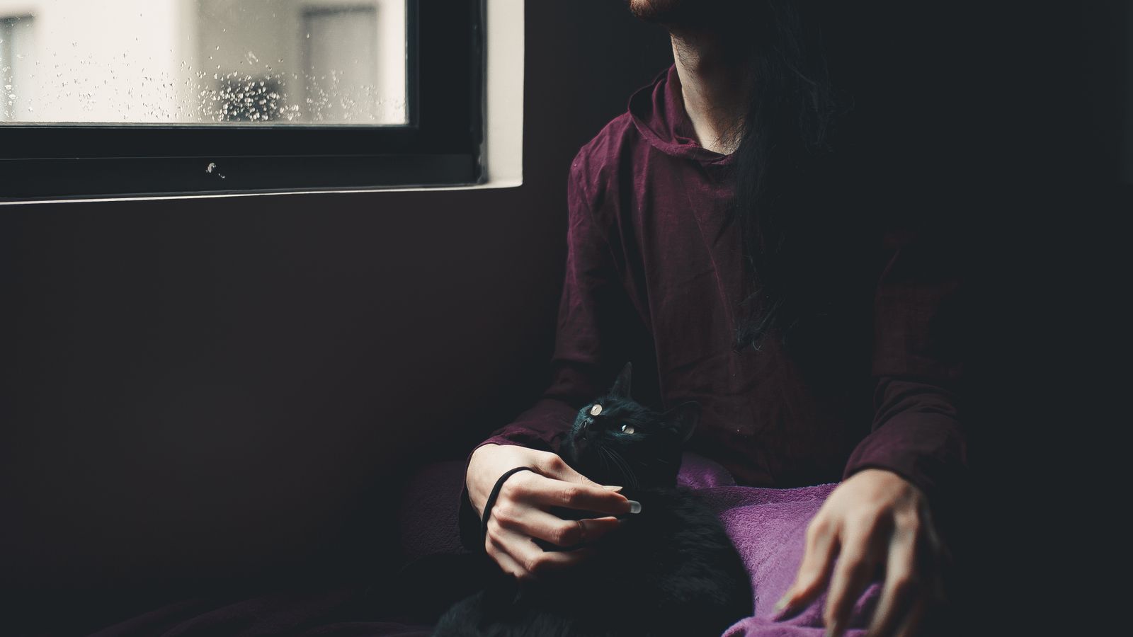 An adult seated beside a window with a black cat on their lap