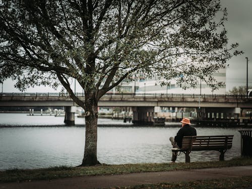 Back view full body faceless male in warm outerwear and hat sitting with legs crossed on wooden bench and enjoying city river view on overcast autumn day