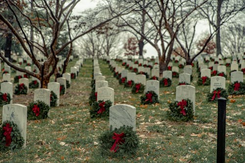 Perspective view of military cemetery with rows of similar headstones with wreaths under leafless trees on autumn day