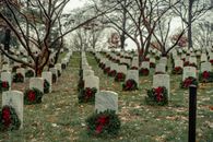 Perspective view of military cemetery with rows of similar headstones with wreaths under leafless trees on autumn day