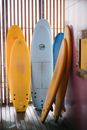 Colorful surfboards of different sizes
