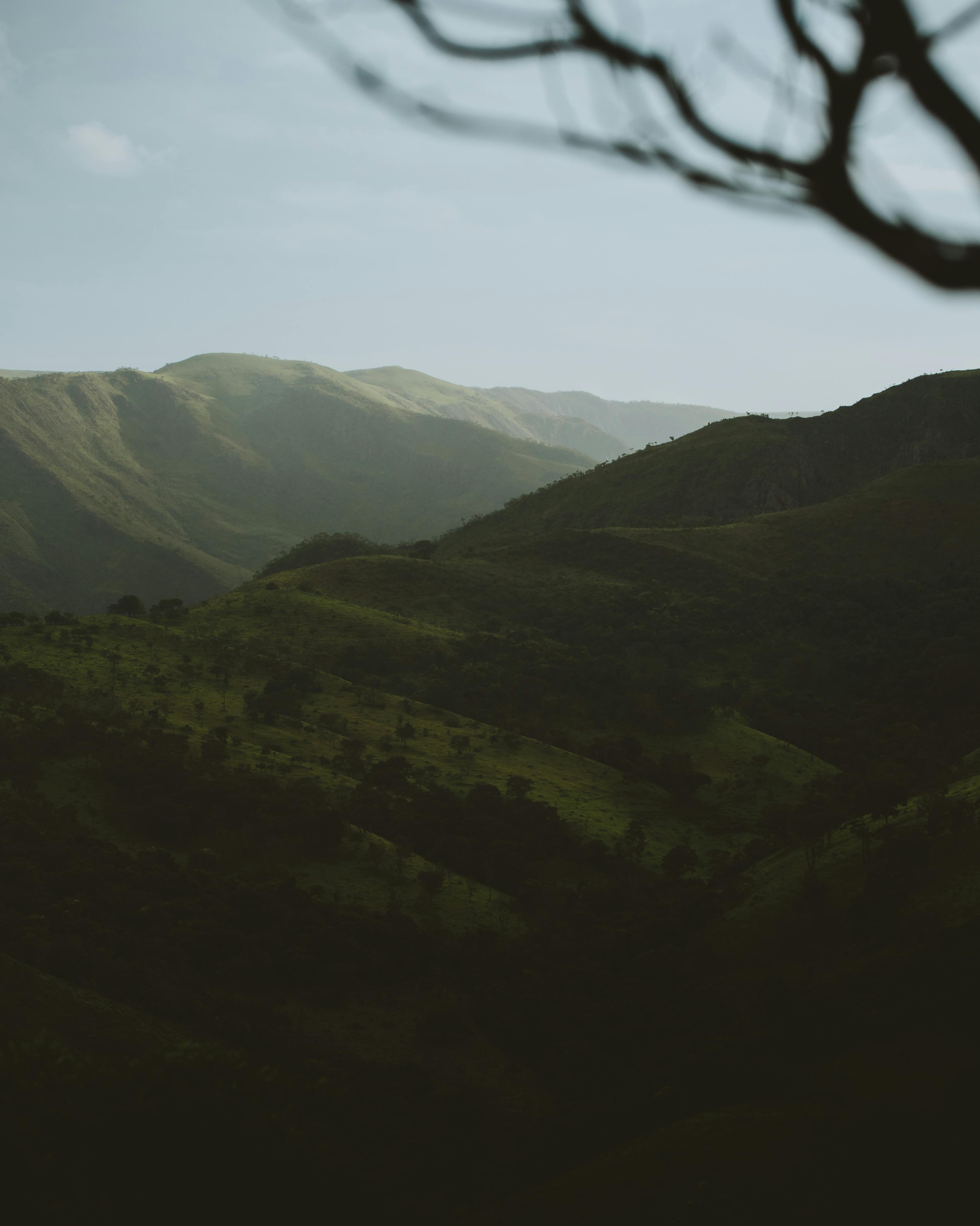 Spectacular scenery of peaceful hills covered with lush greenery under cloudless sky in early morning