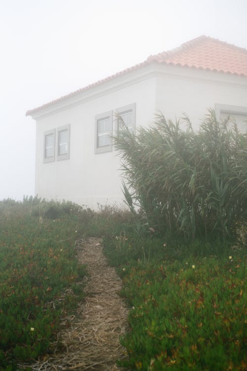 Narrow path between grass leading to old house in countryside in cloudy weather