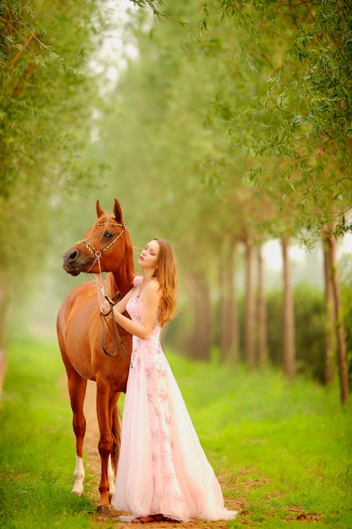 Free Gorgeous woman near brown horse in garden Stock Photo