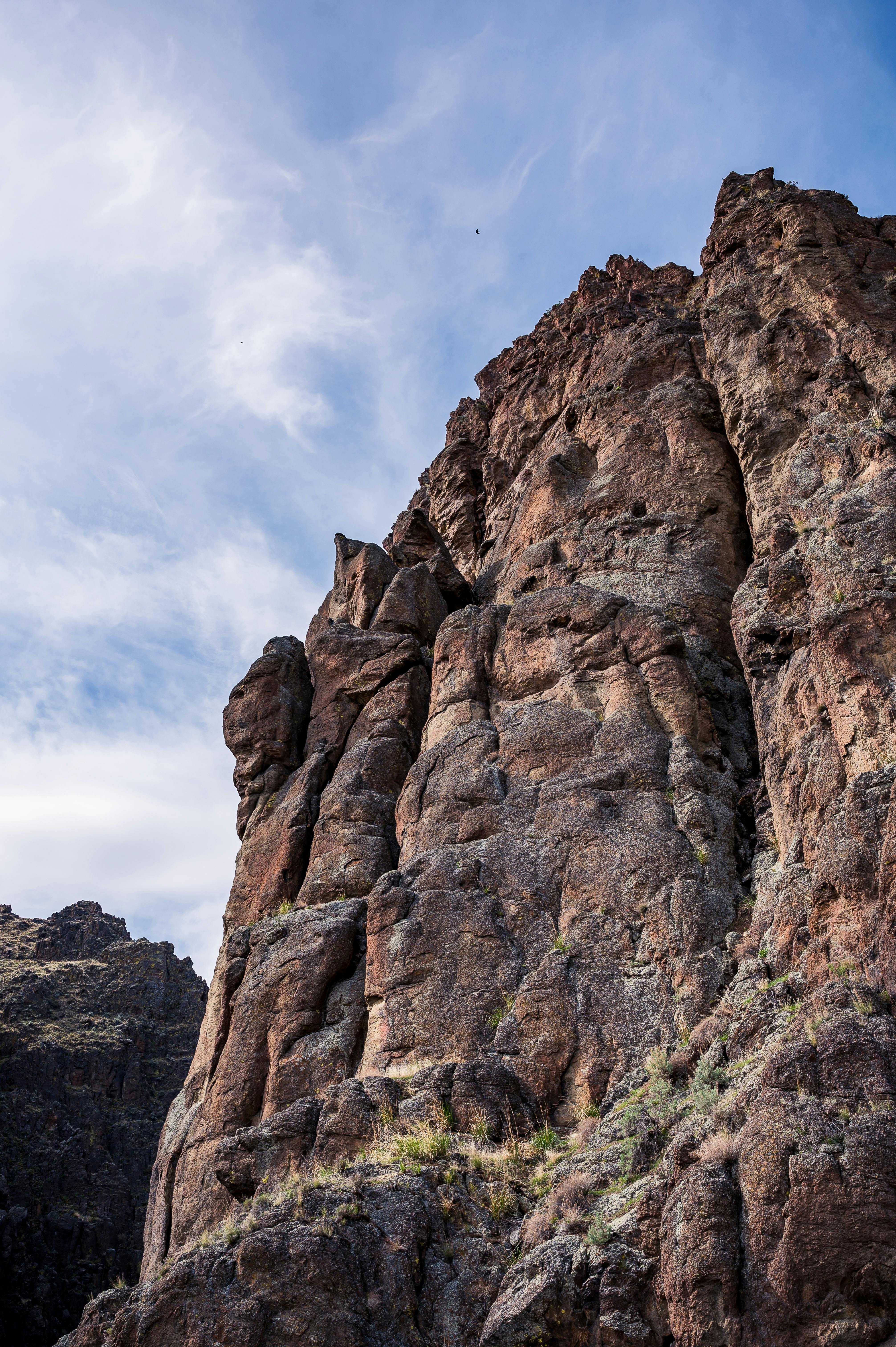 When do males peak in attractiveness?