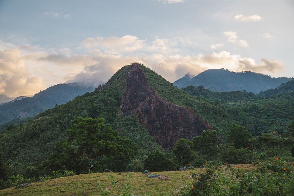 What I'd Do Differently When Touring Nigeria's National Parks