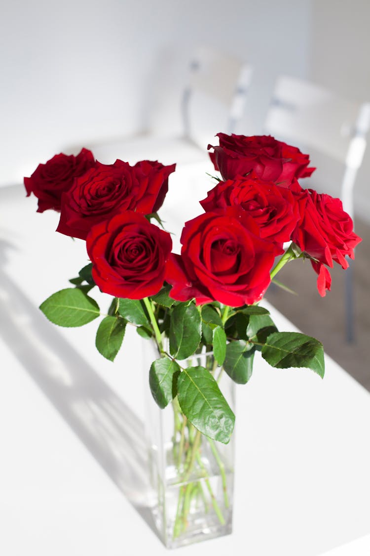 Red Roses In Glass Vase