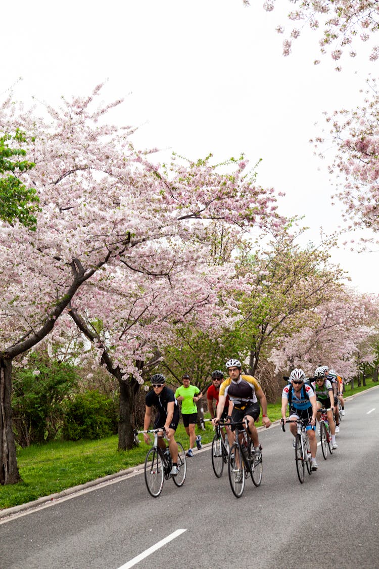 Group Of Cyclists Riding Along Road In Spring