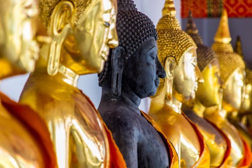 Buddha Figures in Close Up Photography