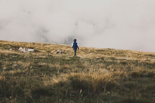 Free Back view of unrecognizable person walking up hill with dried grass against cloudy gray sky Stock Photo