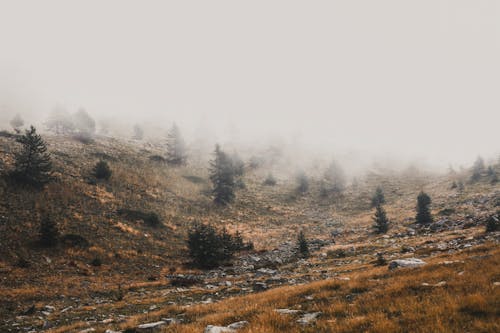 Hilly terrain on foggy day