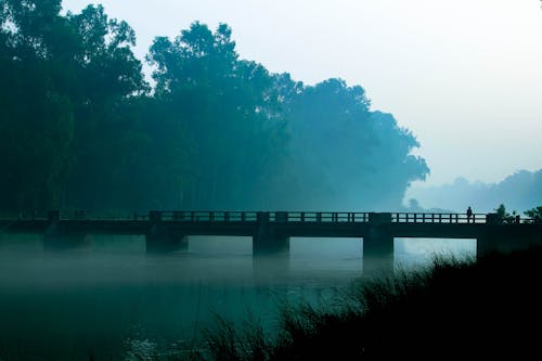 Kostnadsfri bild av bro, broar, dimma