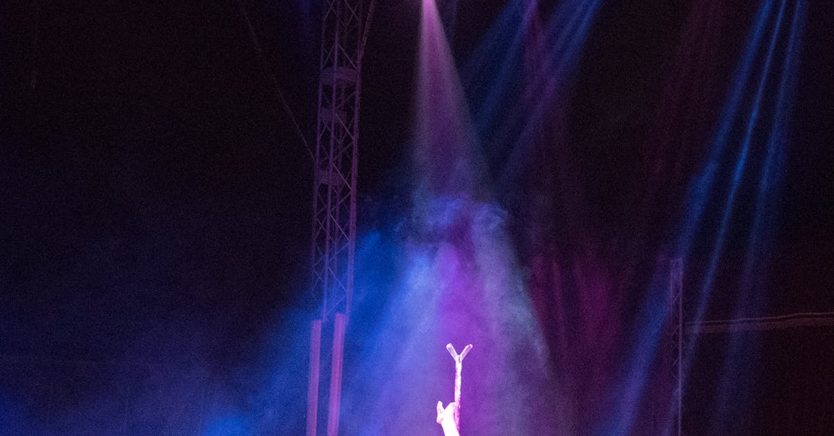 Free stock photo of circus, light, live performance