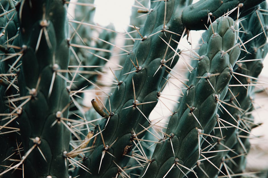 Turning Obstacles into Opportunities