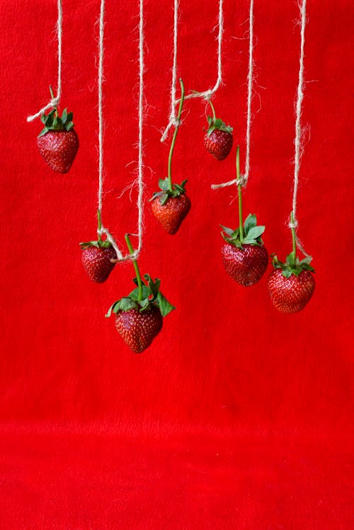 Red Strawberries Hanging on Strings