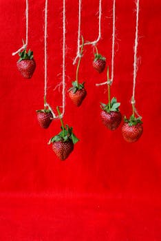 Artistic composition of fresh strawberries hanging against a bold red backdrop, perfect for food styling.