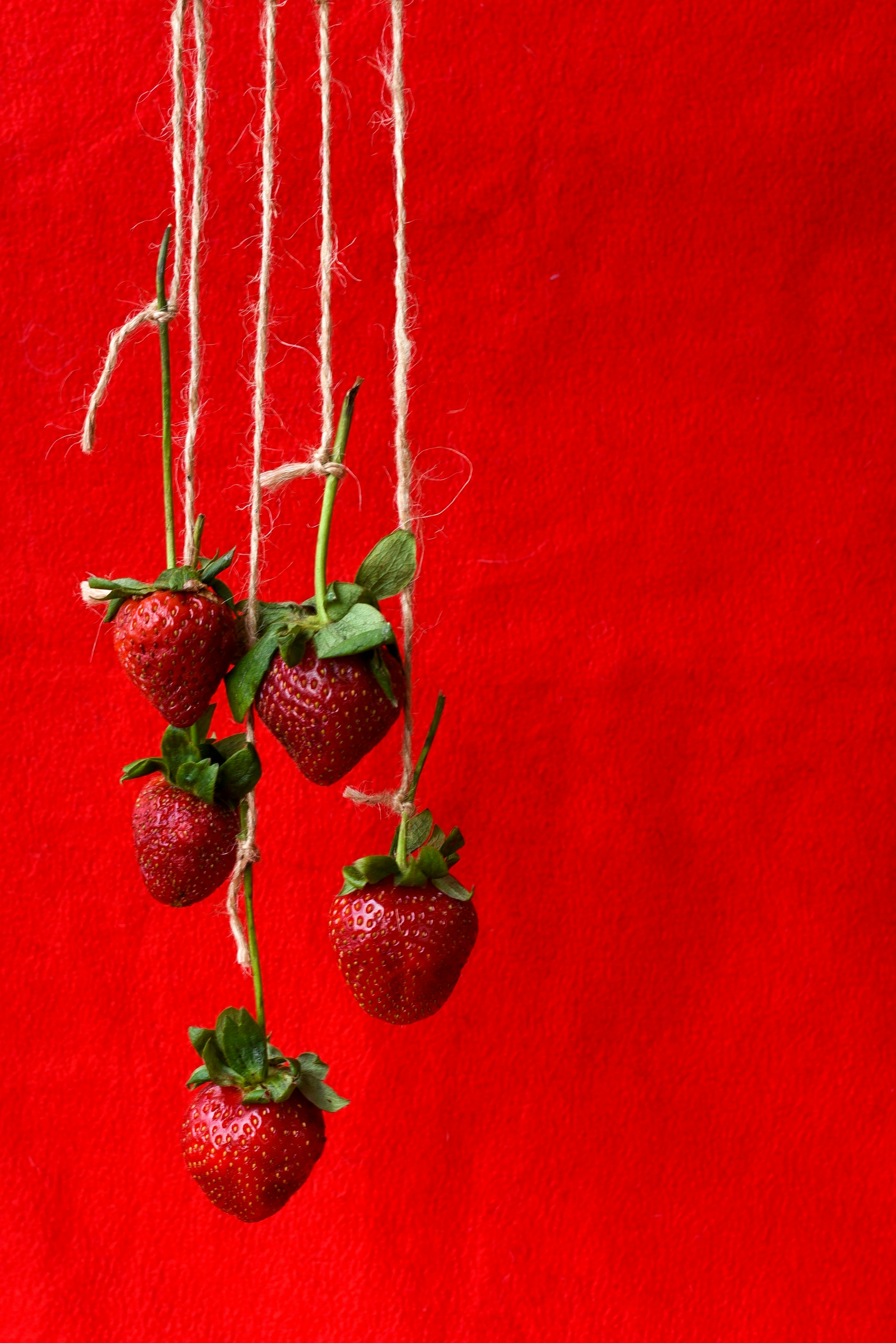 photograph of strawberries hanging by thread