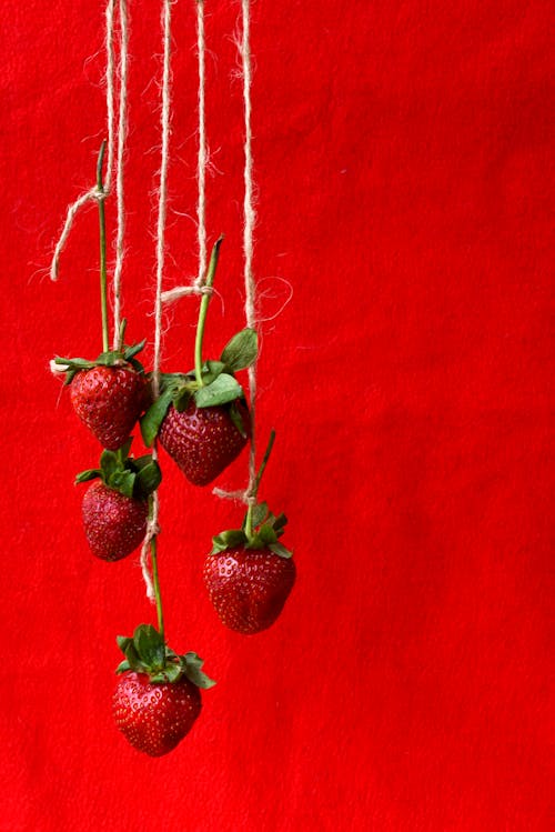 Photograph of Strawberries Hanging by Thread