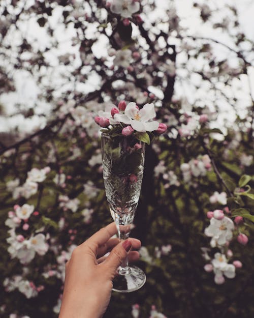 Champagne Glass with Flowers
