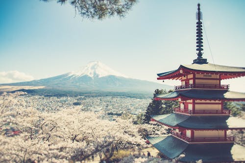 Free Pagoda and Mount Fuji in Spring Stock Photo
