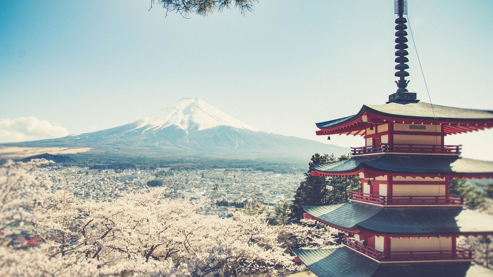 Syarat Visa Jepang 2026 untuk WNI: Dokumen yang Perlu Disiapkan