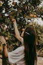 Side view of young female reaching out to ripe peach while harvesting fruits in summer garden