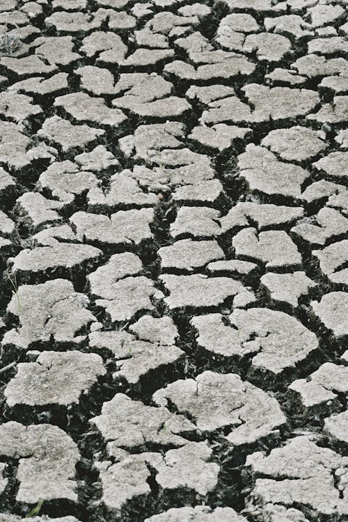 Free From above black and white abstract wallpaper of dry cracked solid ground in arid terrain Stock Photo