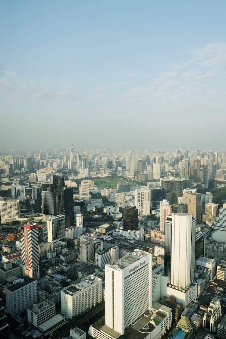 Contemporary Skyscrapers And Buildings In City Downtown