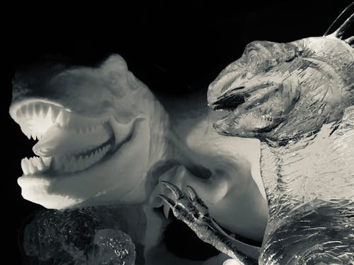 Darmowe zdjęcie z galerii z czarno-białe tło, dinozaur, lód